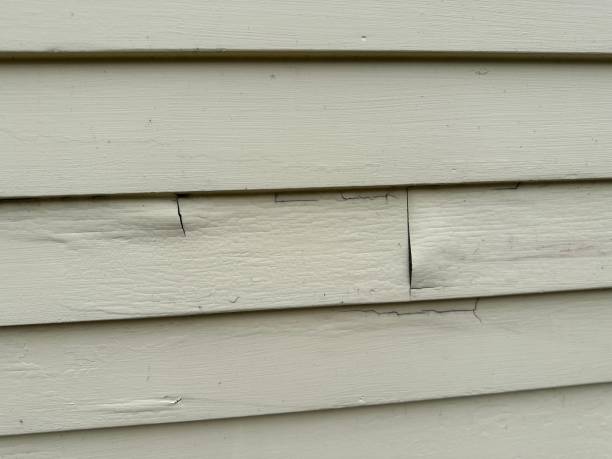 Best Engineered Wood Siding  in Kendall, FL